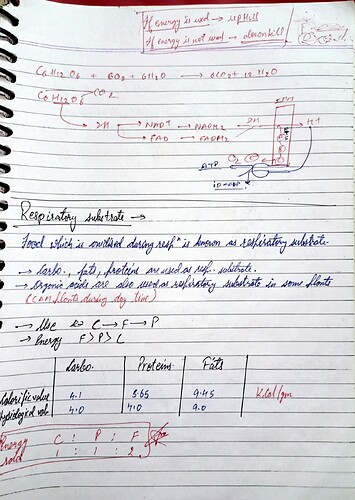Respiration in plants notes_2
