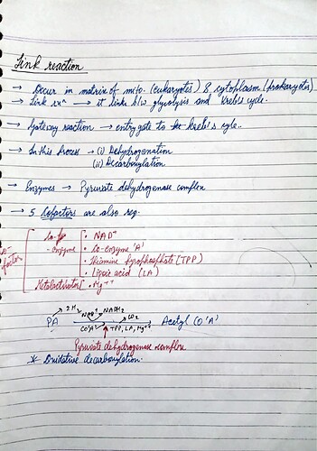 Respiration in plants notes_8