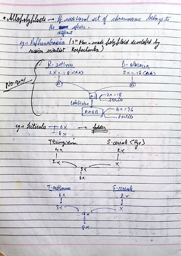 1.Molecular basis of inheritance_71