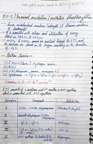 Respiration in plants notes_11