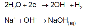 cathode reaction