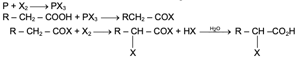 Reaction Mechanism of Hell-Volhard-Zelinsky Reaction